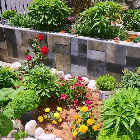 Séjour chez l'habitant Neruda *