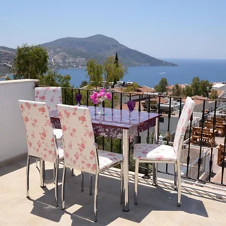 Neruda Kalkan
