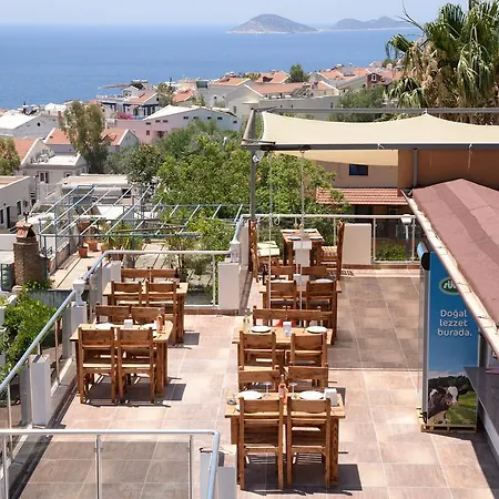 Neruda Kalkan