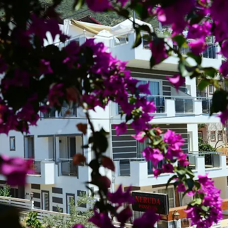 Neruda Kalkan