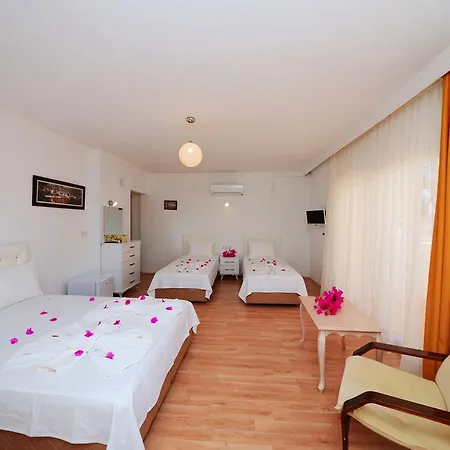 Homestay Neruda