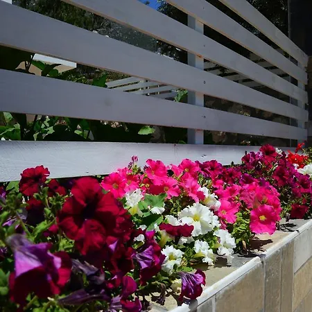 Neruda Kalkan