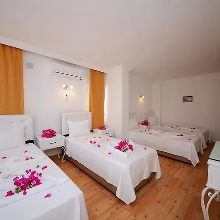 Homestay Neruda